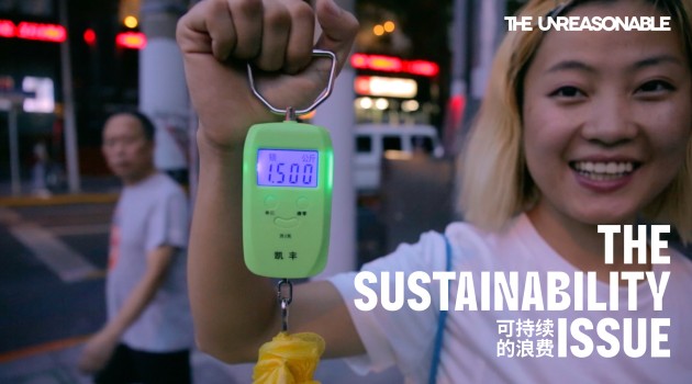 the-sustainable-issue2